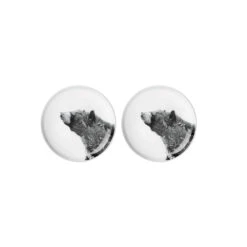 Maxwell & Williams Plate - Asiatic Blk Bear - Pack Of 2