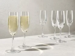 Maxwell & Williams Cosmopolitan Flute 160ml AS0001 Set Of 6 7 Maxwell & Williams Cosmopolitan Flute 160ml AS0001 Set Of 6 -Maxwell & Williams Shop maxwell williams glasses maxwell williams cosmopolitan flute 500ml as0001 31325616570457